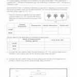 Floor Plans Handout Thumbnail